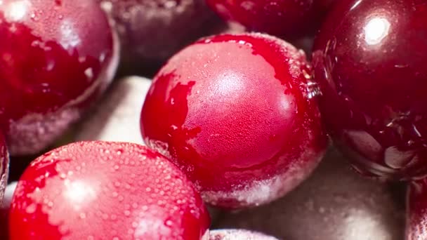 Appetizing Juicy Cherries Frost Close — Wideo stockowe