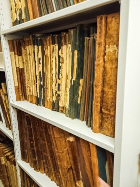 Slovakya 'daki bir müzede raflarda antik kitaplar var.