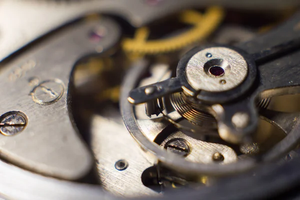 Mechanical Watch Mechanism Close — Stockfoto