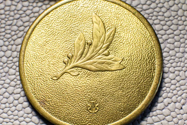 Soviet medal of the Ukrainian SSR close-up