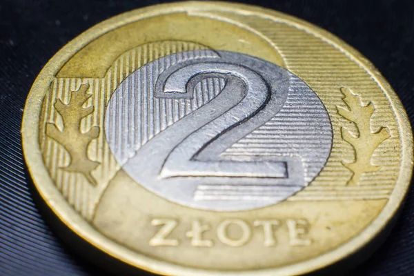 Zloty Coin Poland Close — 스톡 사진