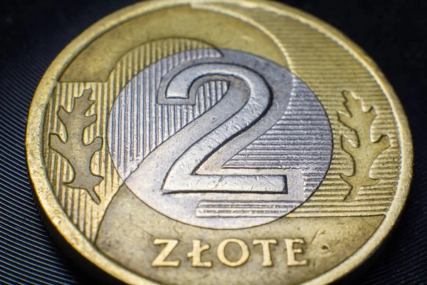 Zloty Coin Poland Close — 스톡 사진