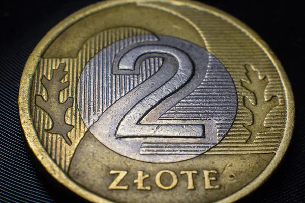 Zloty Coin Poland Close — Stock Photo, Image