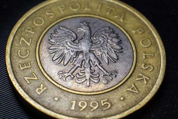 Zloty Coin Poland Close — 图库照片