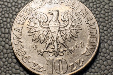 10 Polish zloty coin close up