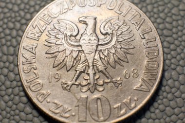 10 Polish zloty coin close up