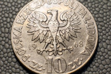 10 Polish zloty coin close up
