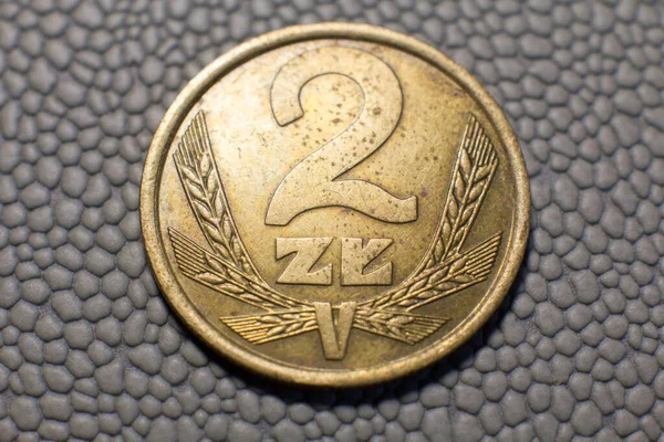 Coin Polish Zloty 1983 Issue — 图库照片