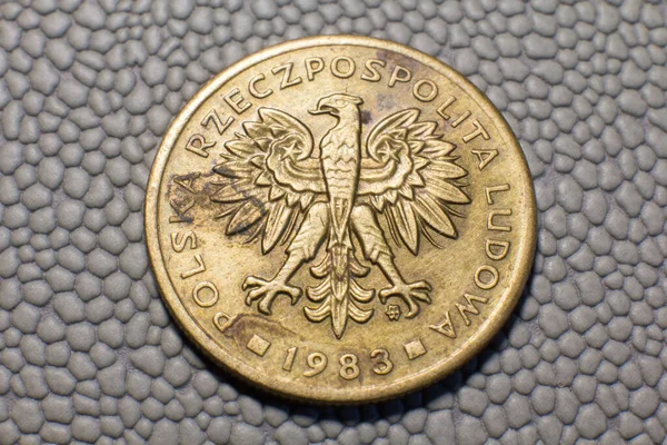 Coin Polish Zloty 1983 Issue — 图库照片