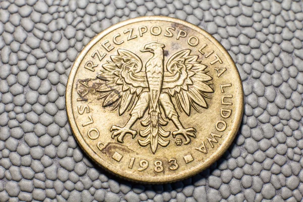 Coin Polish Zloty 1983 Issue — Foto Stock