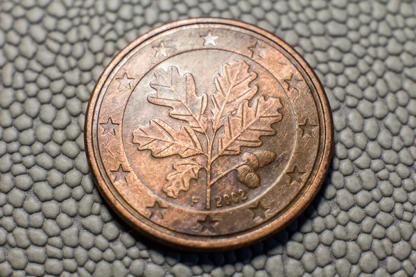 Coin Euro Cents Spain Close — Stock fotografie
