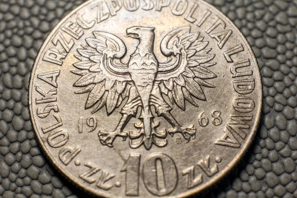 Polish Zloty Coin Close — 스톡 사진