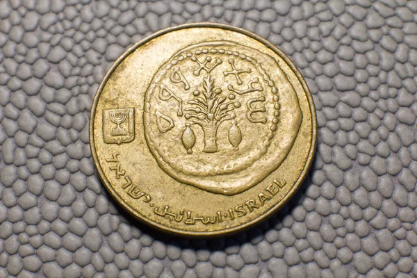 Israel Coin Agorot Closeup — ストック写真