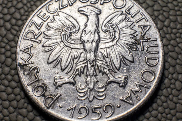 Монета Злотих 1959 Випуск Крупним Планом — стокове фото