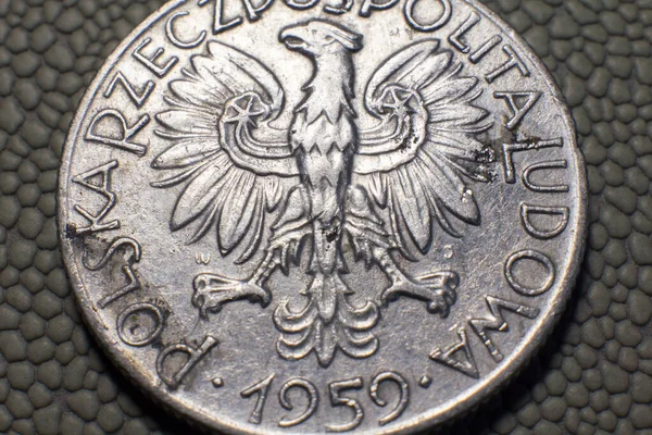 Монета Злотих 1959 Випуск Крупним Планом — стокове фото