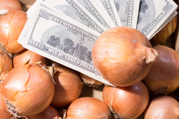 Money bills on onions. Rising prices for products in Ukraine due to the war