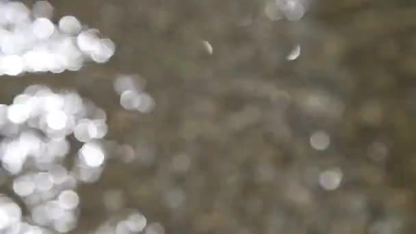 danse bokeh lumières fond 