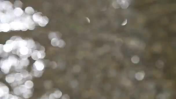 Dancing bokeh luci di sfondo — Video Stock