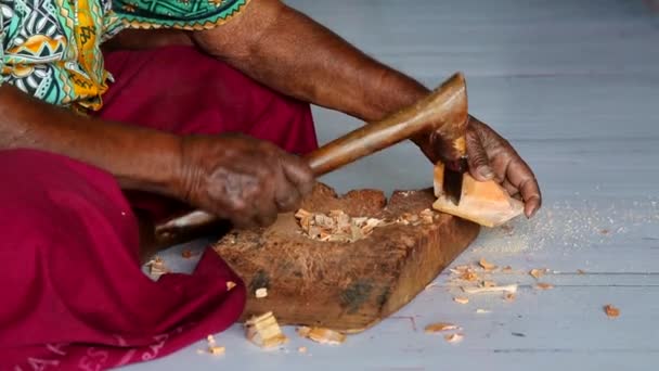 Traditional woodcarver — Stock Video