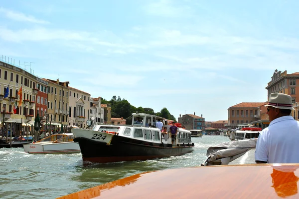 Vida acuática de Venecia, Italia — Foto de Stock