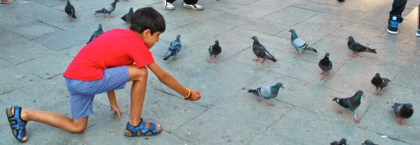 Ragazzino gioca con i piccioni a Venezia — Foto Stock