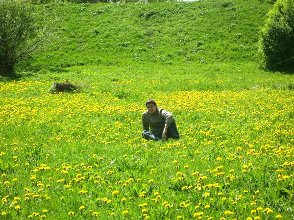 Мальчик позирует в поле одуванчиков — стоковое фото