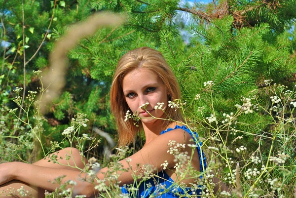Prachtige blond seksuele meisje in een blauwe jurk zit onder het gras — Stockfoto