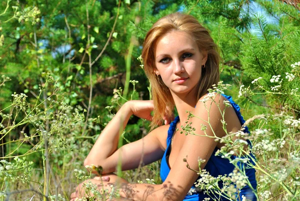 Incroyable modèle féminin sexuel blonde dans une robe bleue pose parmi l'herbe — Photo