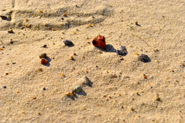 Pedras na areia — Fotografia de Stock