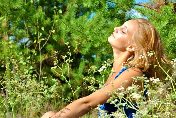 Amazing blonde sexual female model in a blue dress sits among the grass Royalty Free Stock Photos
