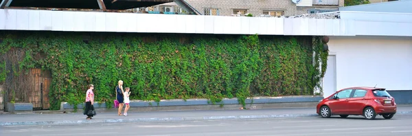 Ein Haus voller grüner Zweige — Stockfoto