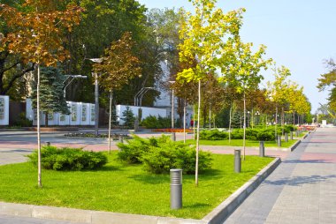 yeşil bitkiler Vadisi Ukrayna