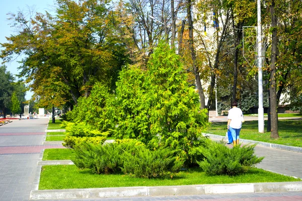 Vale de plantas verdes na Ucrânia — Fotografia de Stock