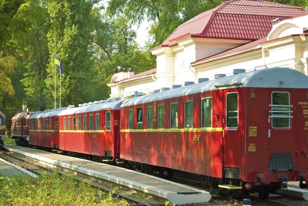 儿童火车在公园命名的上校奇卡洛夫在利沃夫，乌克兰 — 图库照片