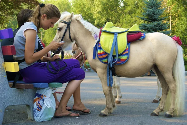 Pequeño caballo de caballo y su dueño — Foto de Stock