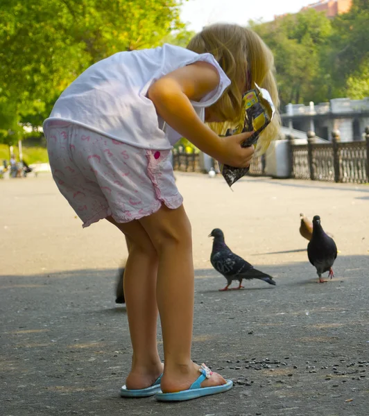 Menina alimenta pombos — Fotografia de Stock