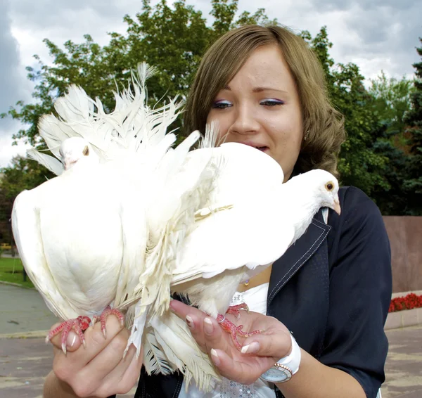 Joven chica sostiene palomas blancas —  Fotos de Stock