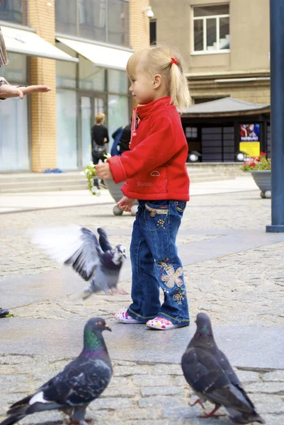 Petite fille mignonne et pigeons — Photo