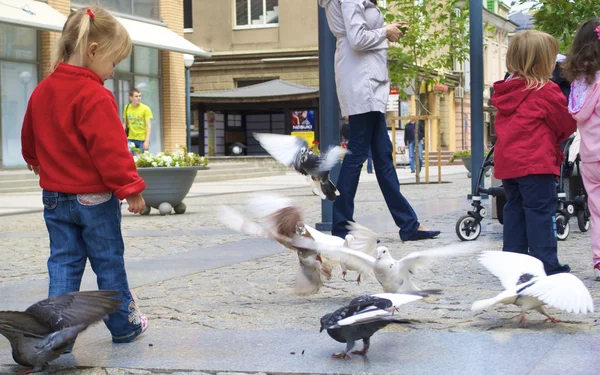 Bambini felici nutrono i piccioni con semi — Foto Stock