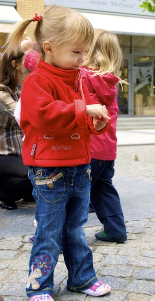 Küçük kız güvercinler ile tohum yem. — Stok fotoğraf