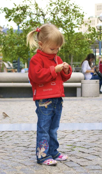 Little girl feed pigeons with seeds — Stock Photo, Image