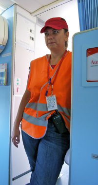 Avusturyalı okları iş arkadaşınız uçak