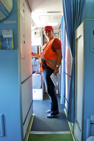 奥地利箭头工友在飞机 — 图库照片