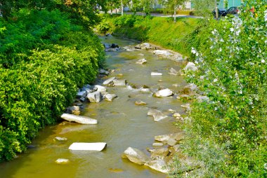 küçük nehir Lugano, İsviçre