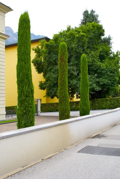 Kolme puuta Sveitsissä — kuvapankkivalokuva