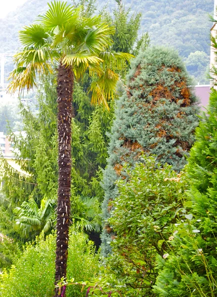 Şehir doğa, İsviçre