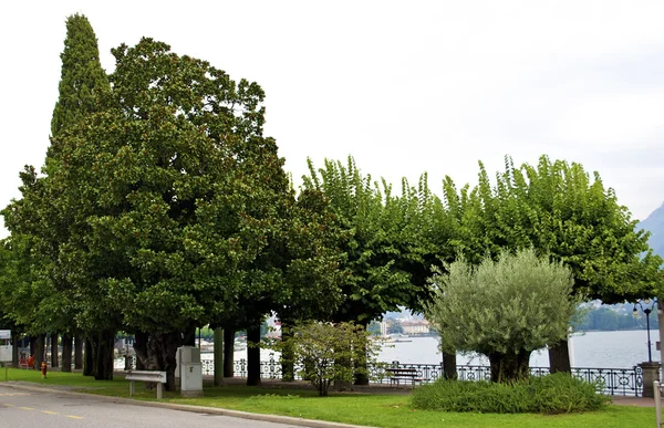 Natura di Lugano, Svizzera — Foto Stock