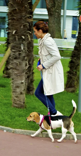 La mujer corre con un perro — Foto de Stock