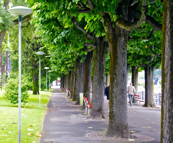 Groene alley — Stockfoto