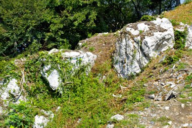 İsviçre dağ doğa